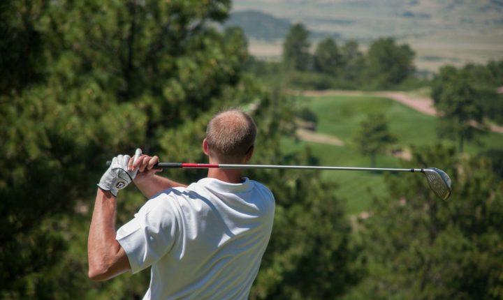Activité Visite des loups du parc des Loups du gévaudan au Village de gîtes chanac(camping chanac)